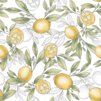 Seamless background with watercolor lemons. Juicy lemons seamless pattern. Lemons sketch png