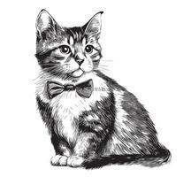 Kitten with bow tie hand drawn sketch in doodle style illustration vector