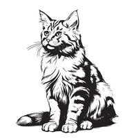 A sketch of a sitting domestic fluffy cat vector