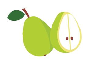 Pear Design And Illustration. vector