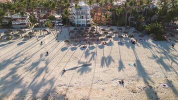 panoramisch visie van bovenstaand vangt de strand Bij zonsondergang, versierd met zon ligstoelen, paraplu's, en palm bomen, terwijl toeristen genot in hun tropisch eiland ga weg. dominicaans republiek, punta cana video