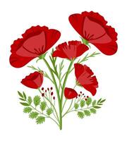 red poppies isolated on white vector