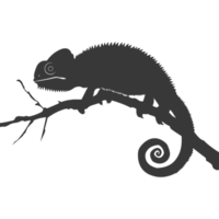 silhouette caméléon animal noir Couleur seulement plein corps png