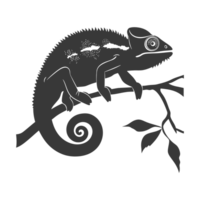 silhouette camaleonte animale nero colore solo pieno corpo png