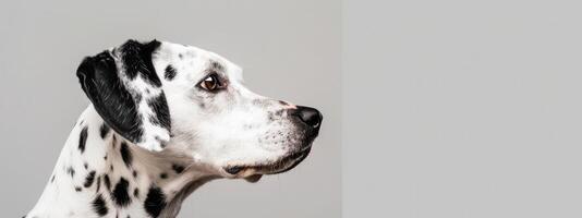 Minimalistic Dog Sideview with Copyspace photo