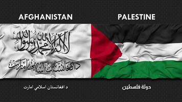 Palestina y Afganistán bandera ondulación juntos sin costura bucle pared fondo, bandera país nombre en Inglés y local nacional idioma, 3d representación video