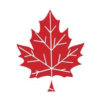 Canada. Maple leaf on a white background.illustration. vector