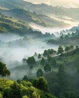 Misty Mountain Morning Landscape photo