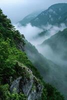 Misty Mountain Morning Landscape photo