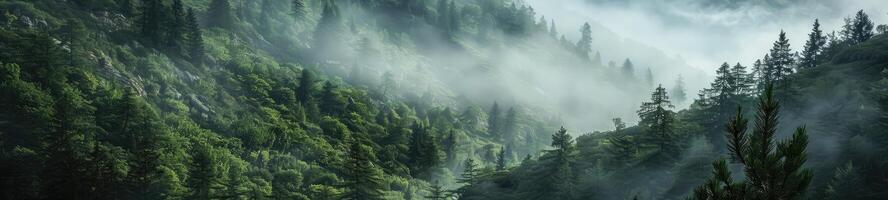 Misty Mountain Morning Landscape photo