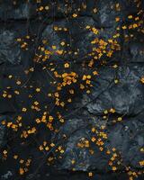 Abundance of Small Yellow Flowers on Dark Stone Background photo