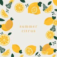 minimal cute hand drawn cover square template with tropical citrus lemon fruits and leaves illustration with text. For social media, packaging, poster, card, tag, invitation, web vector