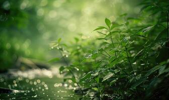 Closeup view of green grass and lives near the stream in spring forest photo