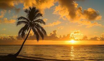 un solitario palma árbol silueta en contra el dorado matices de un amanecer terminado el océano, tropical naturaleza a puesta de sol foto