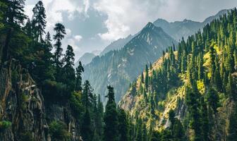 A picturesque mountain landscape with towering pine trees lining the rugged slopes photo