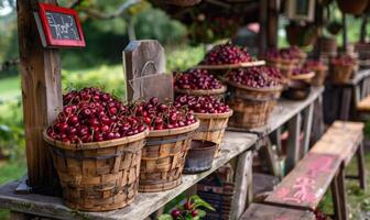 A quaint roadside stand selling baskets of ripe cherries photo