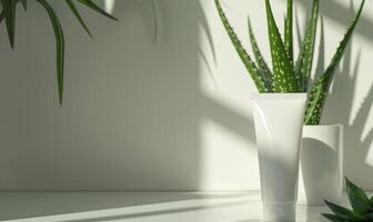 Close-up of a blank tube mockup placed against a clean white background, natural cosmetic photo