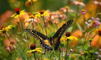 Butterfly amidst wildflowers, closeup view, selective focus, spring nature photo