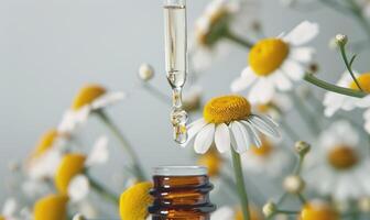 Chamomile essential oil bottle and chamomile flowers closeup, skin care cosmetic concept photo