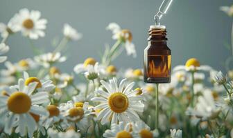 Chamomile essential oil in a dropper bottle, closeup view, skin care cosmetic background photo