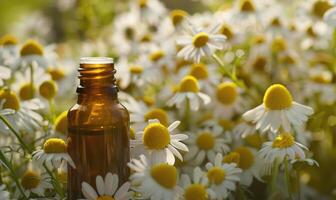 Chamomile essential oil in a dropper bottle, closeup view, skin care cosmetic background photo