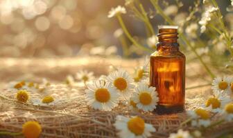 Chamomile essential oil in a dropper bottle, closeup view, skin care cosmetic background photo