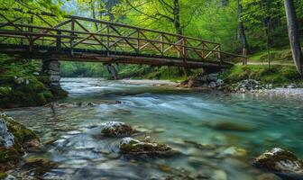 A rustic wooden bridge spanning over a crystal-clear spring river photo