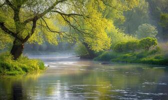 un tranquilo orilla del río forrado con en ciernes arboles y vibrante verdor. primavera naturaleza antecedentes foto