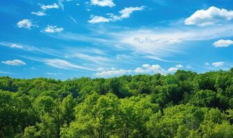 Blue skies over a green forest, spring nature background photo