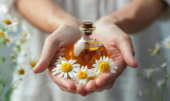 Hands holding bottle of chamomile essential oil, organic cosmetic, beauty in nature, closeup view photo