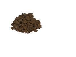 Soil section isolated on white background photo