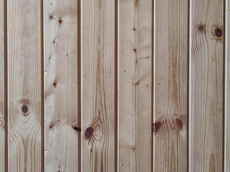 Embossed texture of the bark of trees on white background photo