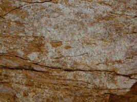 Foto de fondo de la naturaleza de la textura de las piedras.