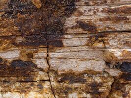 Foto de fondo de la naturaleza de la textura de las piedras.