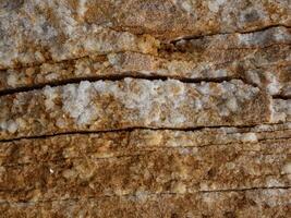 Foto de fondo de la naturaleza de la textura de las piedras.