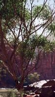 landscape with red sandstone rock and river video