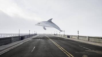 A dolphin is flying over a bridge on a foggy day video