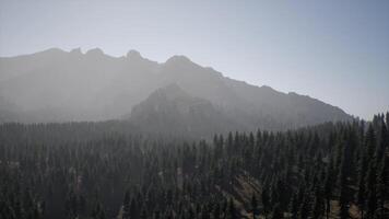 un' Visualizza di un' montagna con alberi nel il primo piano video