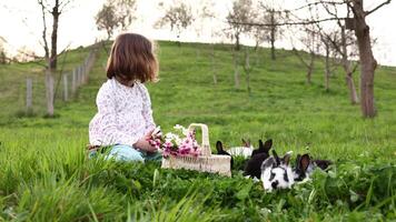 a little girl with blond short hair is playing with bunnies on the green grass in the yard. The concept of Easter spring holidays and children's joy. video