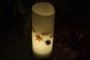 An illuminated red leaves in the light at the traditional garden at night in autumn photo