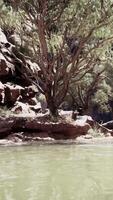 fleuve colorado dans le grand canyon video