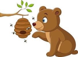 Cartoon brown bear  holding bee house vector