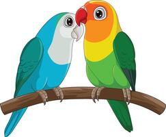 Cartoon Couple Lovebird Parrot on White Background vector