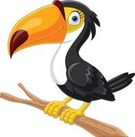 Cartoon toucan bird on tree branch vector