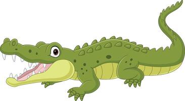 Cartoon crocodile isolated on white background vector