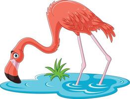 Cartoon flamingo on white background vector