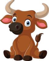 Cartoon little buffalo sitting on white background vector