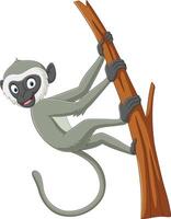 linda langur mono dibujos animados en árbol rama vector