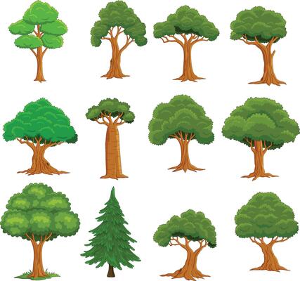 Set of cartoon trees on white background
