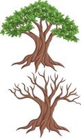 Illustration of a living tree and dead tree vector